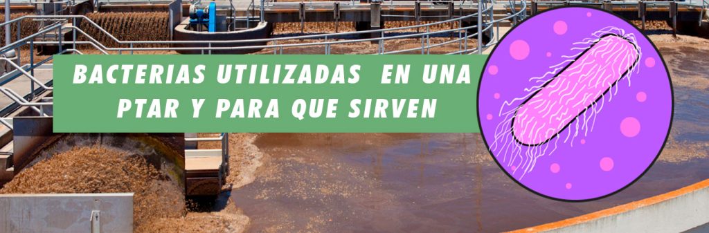 Bacterias utilizadas en una ptar y para que sirven