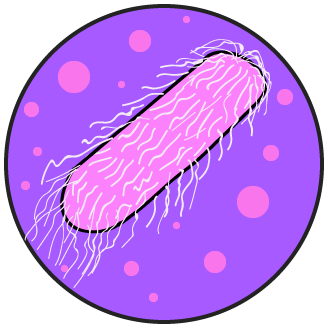 Las bacterias Pseudomonas