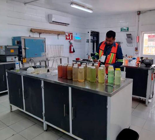 Identifica los contaminantes presentes