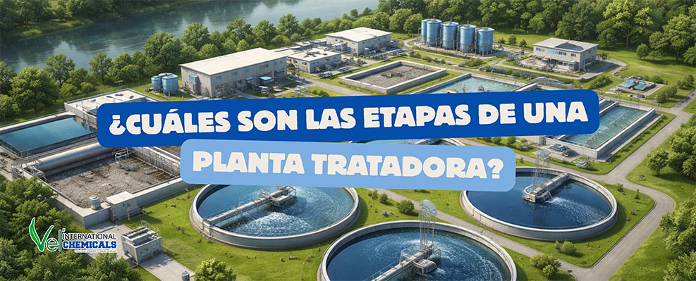 etapas planta tratadora