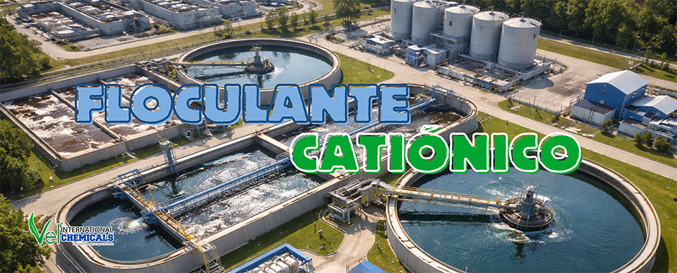 floculante-cationico