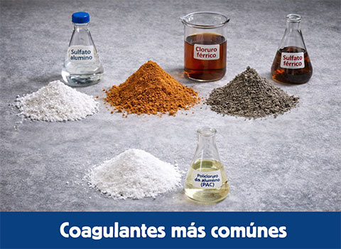 coagulante floculante comunes