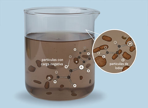 particulas coagulante organico
