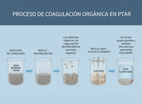 proceso coagulante organico