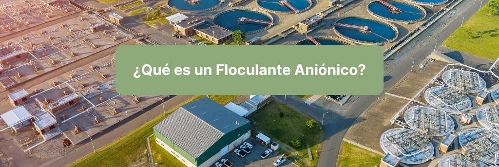 que es un floculante anionico