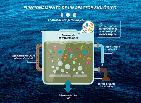REACTOR BIOLOGICO 1