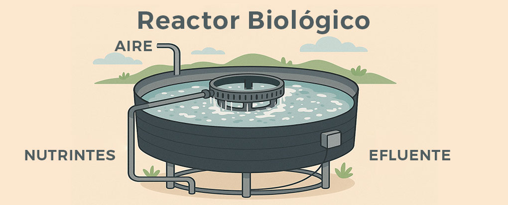 reactor-biologico