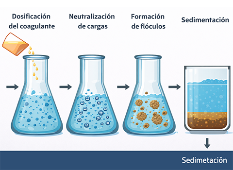 proceso-de-coagulacion
